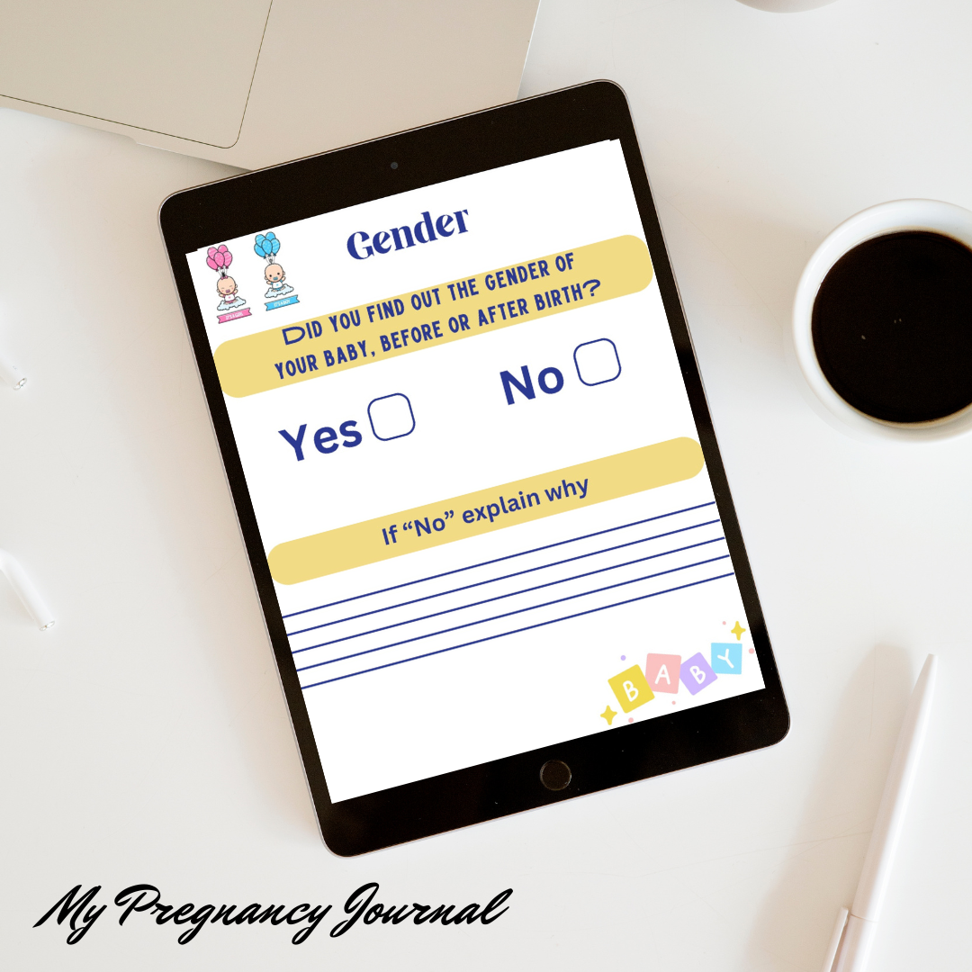 My Pregnancy Journal (PDF Downloadable Digital Journal)